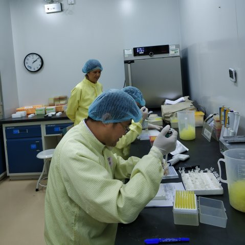 2121非凡国际·(中国)体育官方网站